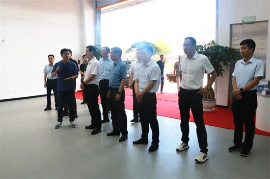 铜陵市长孔涛到恒鑫硅碳公司调研指导